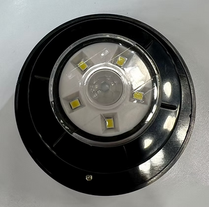 Spartan Solar Motion Sensor Light