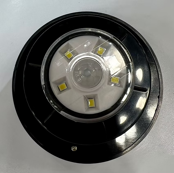 Spartan Solar Motion Sensor Light