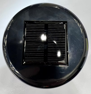 Spartan Solar Motion Sensor Light